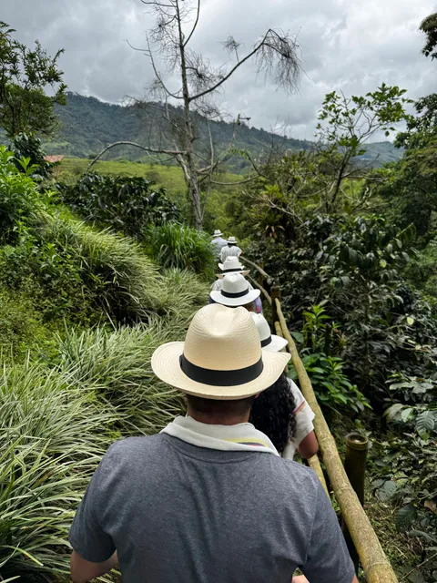 Tour del Café - Coffee Tour - Finca del Café