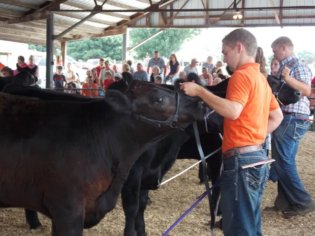 Morgan County Fairground