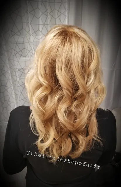 The Little Shop of Hair LLC