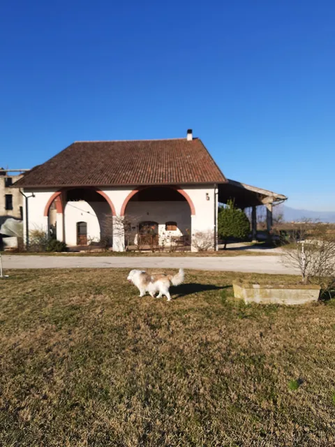 Don Lorenzo Della Grillaia