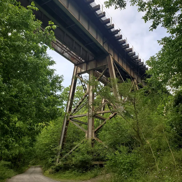McCoys Ferry Campground