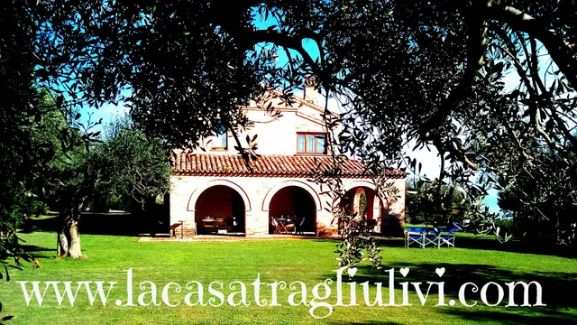 B&B La Casa tra gli Ulivi