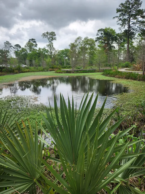 Houston Arboretum