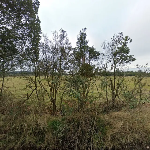 Parcelación Yuntas Viejas