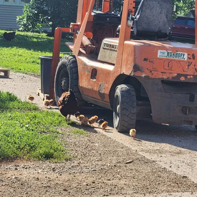 Jim's Farm & Sporting Supply