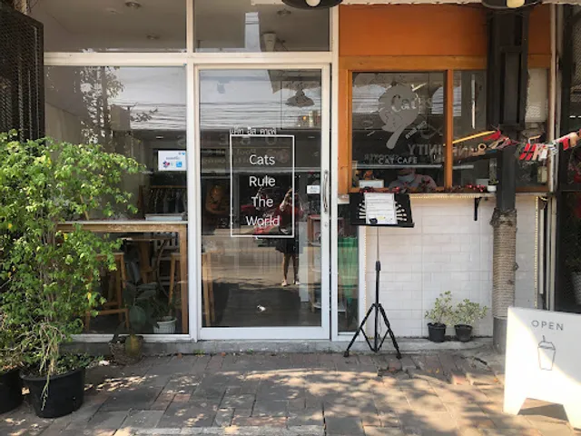Cat Cafe