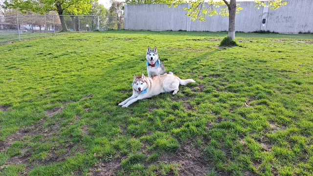 Grand Haven Dog Park