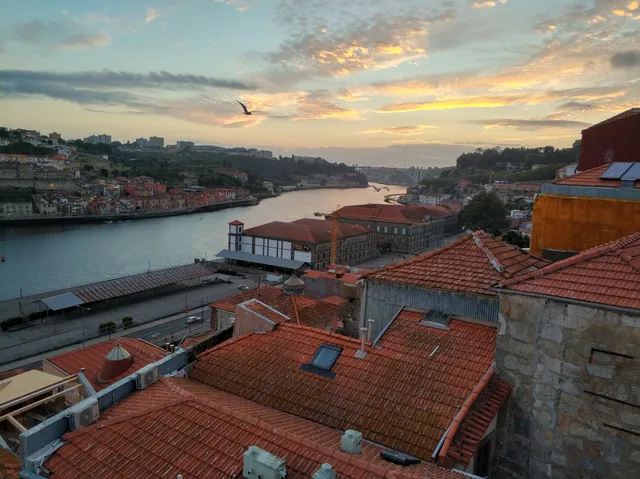 Apartments Oporto Palace