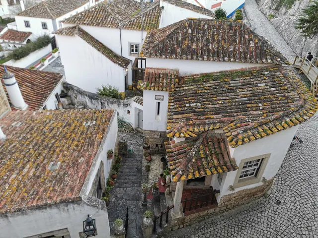 Casa Mourisca - Albino d'Obidos