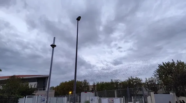 Faculté des Sciences Aix-Montperrin