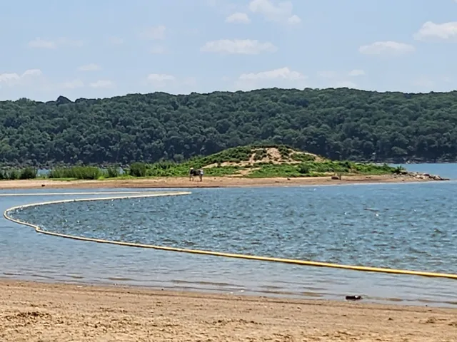 Taylor's Ferry Beach