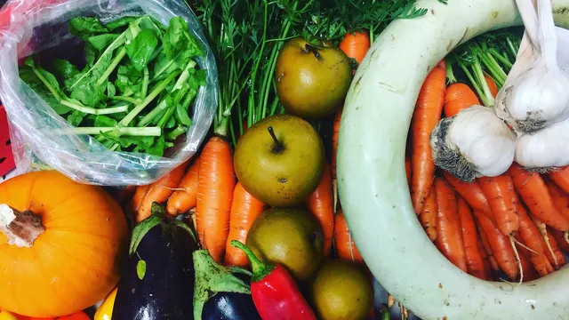 Green Gate Family Farm