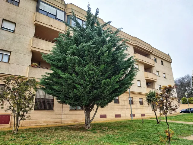 APARTAMENTO CENTRO JARDINES TEMPUL