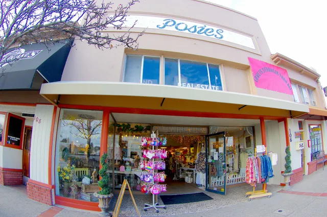 Posies in the Village