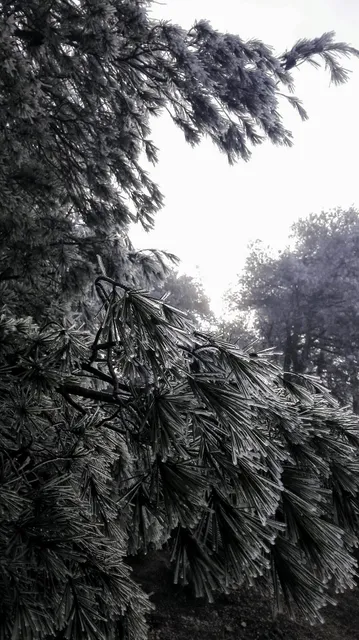 "Cal Jordi" Apartament turístic