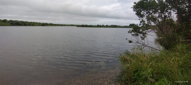 Buffalo Prairie Pheasant Habitat Area