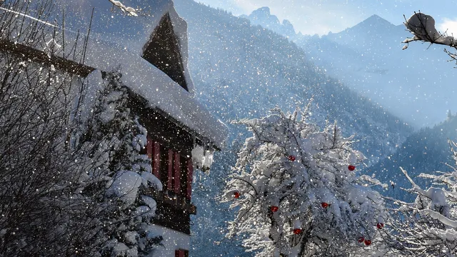 Ferienwohnungen Scheibenhaus