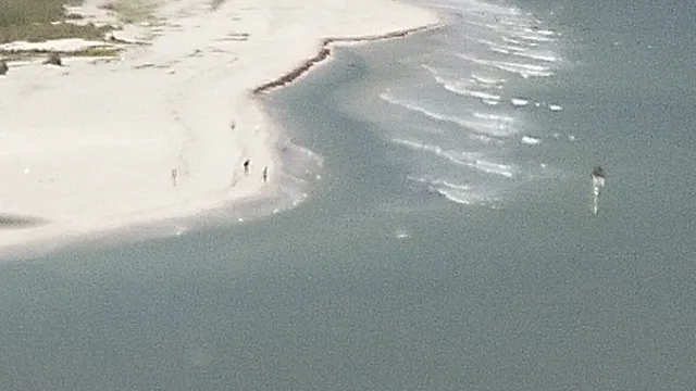 Royal Marco Point I Condo Association