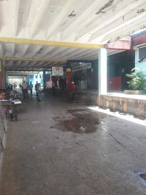 Mercado Zona 6