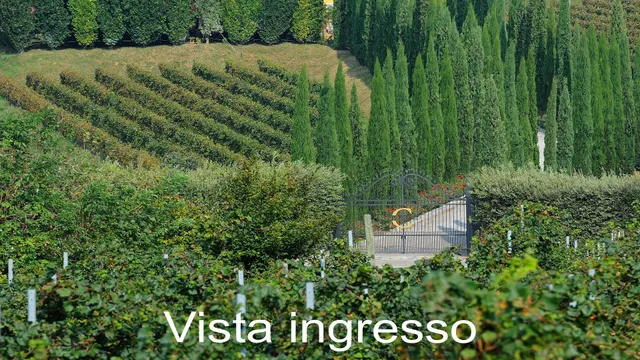 Chiara Ziliani cantina