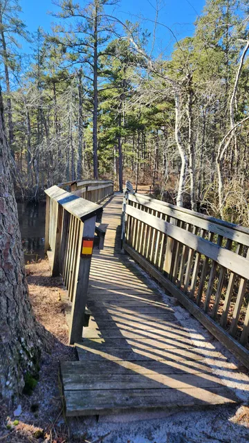 Mullica River Campground