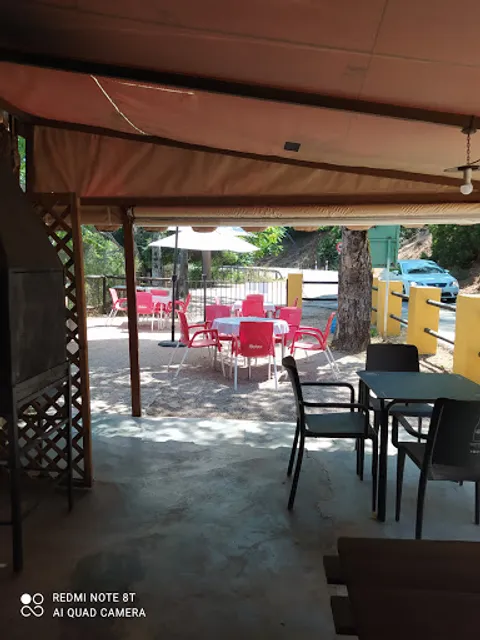 Chiringuito Árbol del Cielo