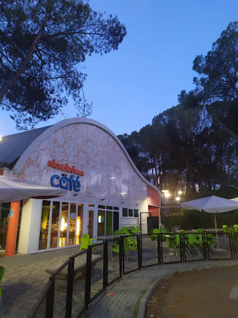 Nickelodeon Café