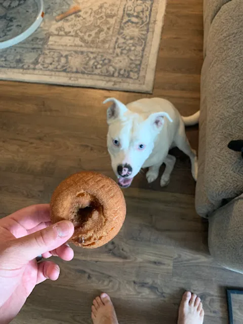 The Perfect Dozen Donut Shop