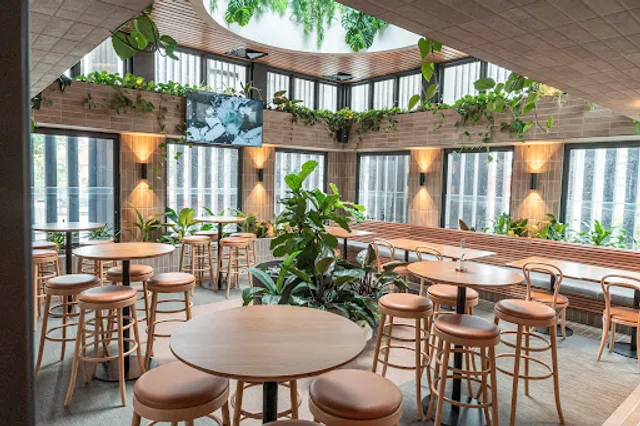 Mermaid Beach Tavern