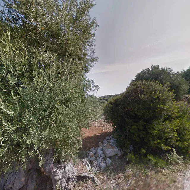 Residence Rosamarina