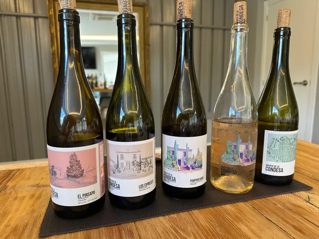 Bodega Huerto de la Condesa