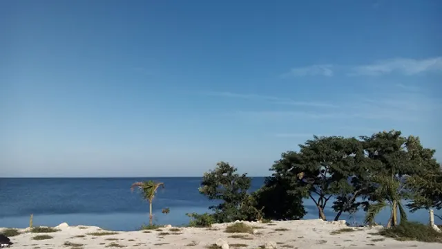 COCKTELERIA EL CAMARON VIAJERO