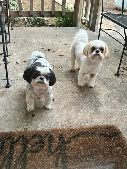 Town & Country Appliance & A/C