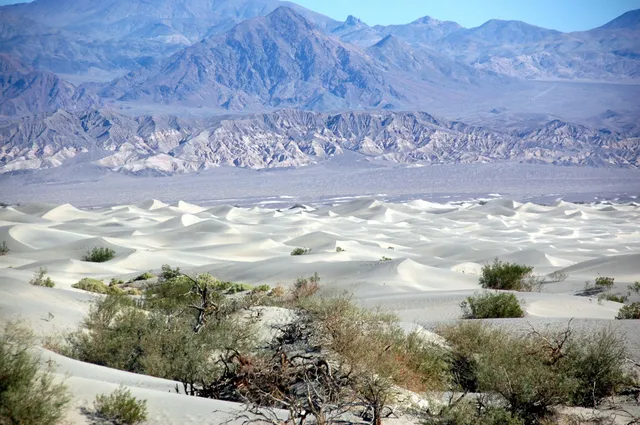 Elevation Sea Level sign