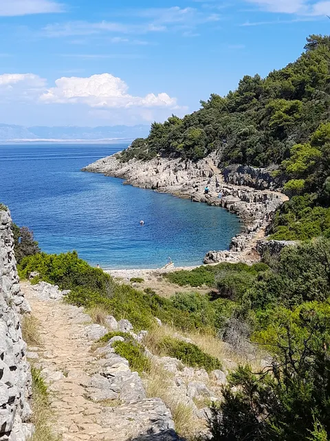 Apartments Stefanovski Paradiso