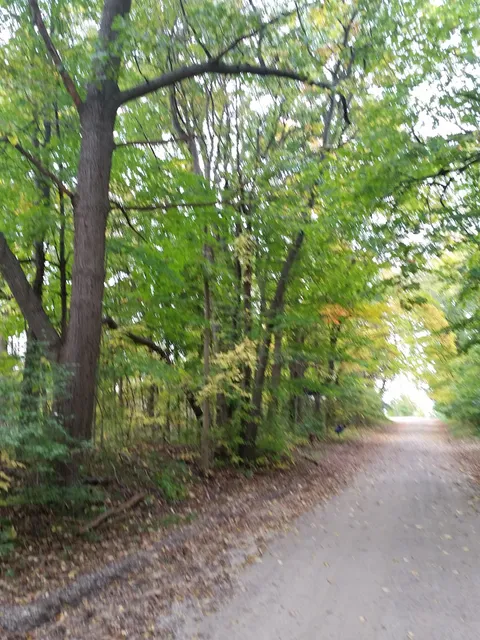 Marshall Nature Area