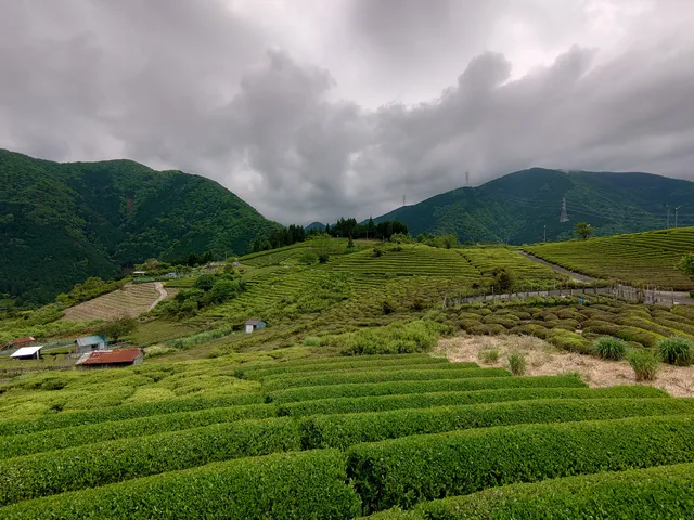 Machu Picchu in Gifu Tea Garden in the Sky