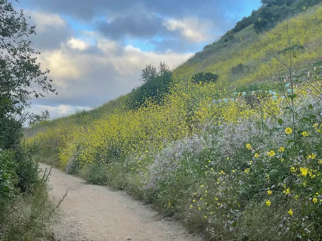 Rose Canyon Trail Head