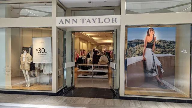 Ann Taylor