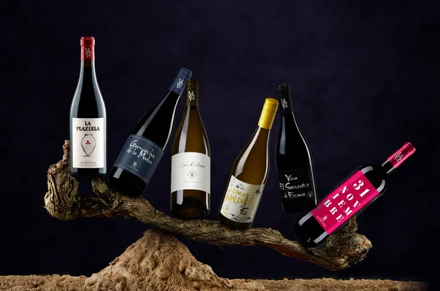 Bodegas Más Que Vinos