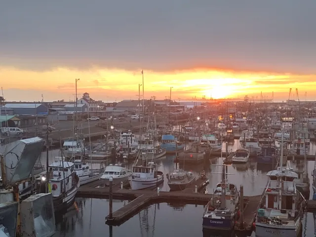 Ocean Gold Seafoods, Inc.