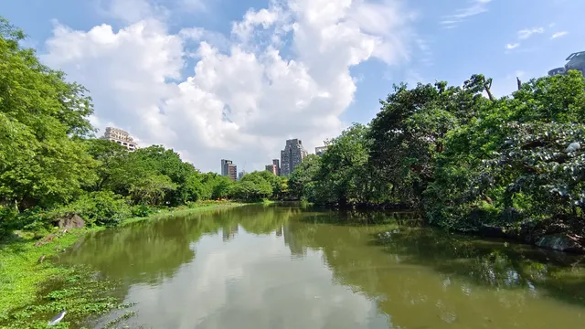 Da’an Park Ecological Pond