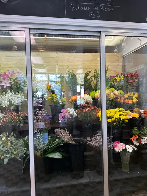 Fleuriste Bella Italia - Bella Italia Florist