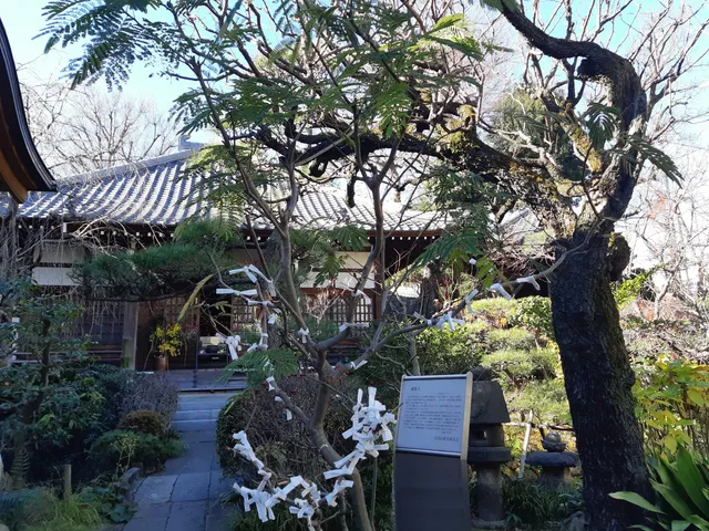 photo-2