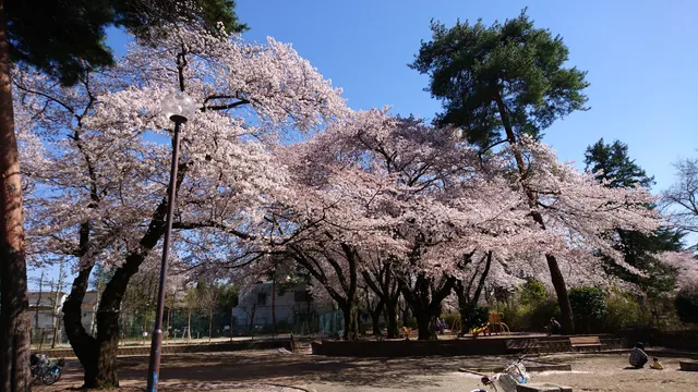 Kiyose Central Park