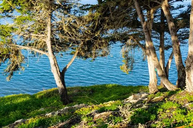 Te Pa Tu - The Gathering Place