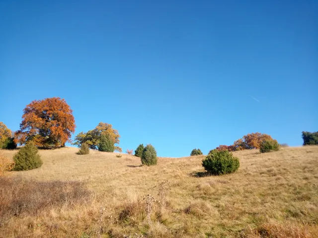 Greuth-Hang Skilift GmbH