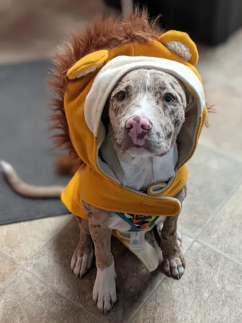 North Minneapolis Pet Resource Center