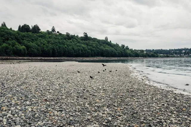 Carkeek Park Beach