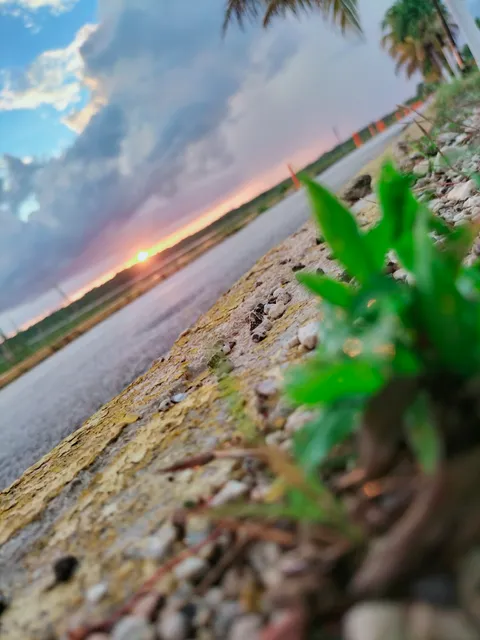 Tacos Y Tortas Armin